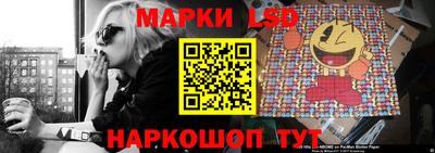 гидра Краснодар