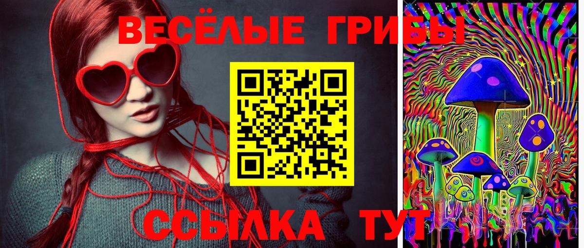 Псилоцибиновые грибы Psilocybine cubensis  наркошоп  Псилоцибиновые грибы прущие грибы  Кохма  Вход с VPN 