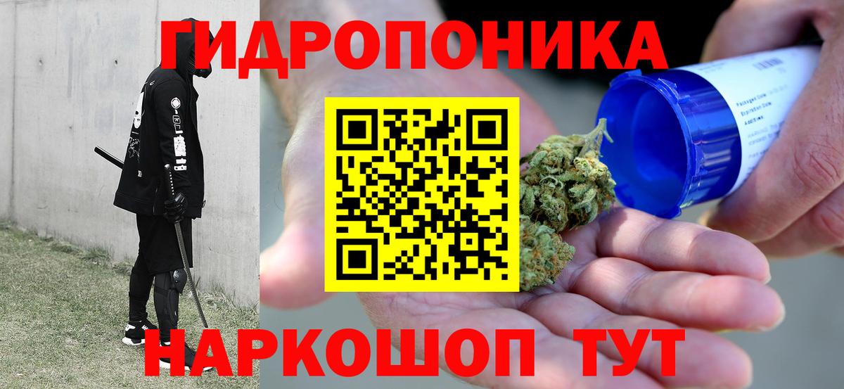 Конопля сатива Кохма